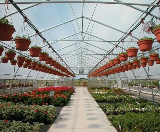 Freestanding Greenhouse Structure Freestanding Greenhouse Structure