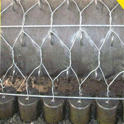 Reinforced Gabion Net