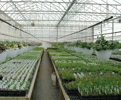 Wide-span Greenhouse
