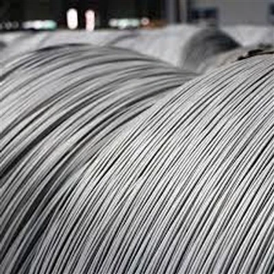 Galvanized Steel Wire Product